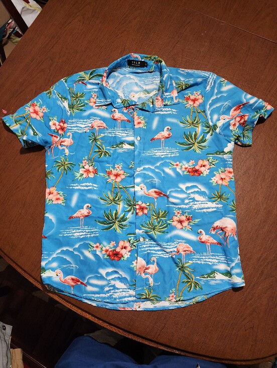 SSLR Other - ISLR Blue Flamingo Print Short-Sleeve Button-Down Shirt